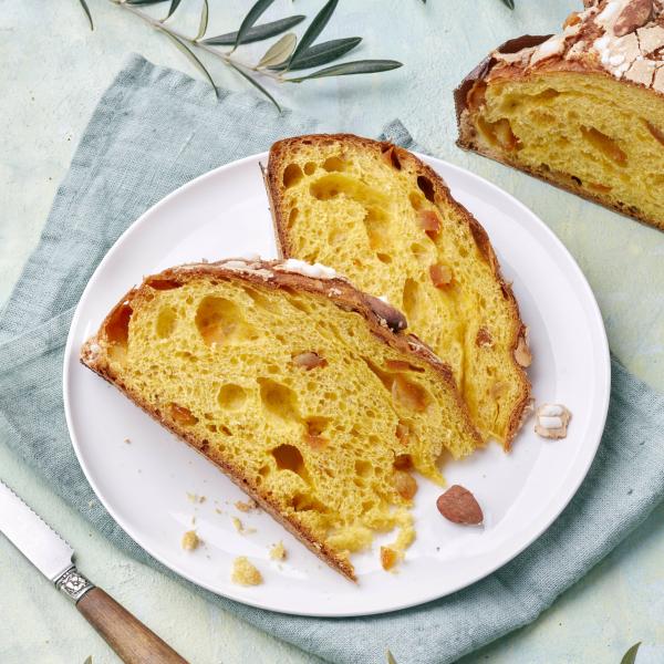 Colomba classique Filippi